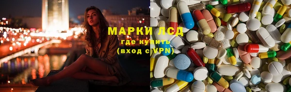 крисы Козельск