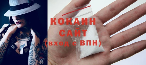 крисы Козельск