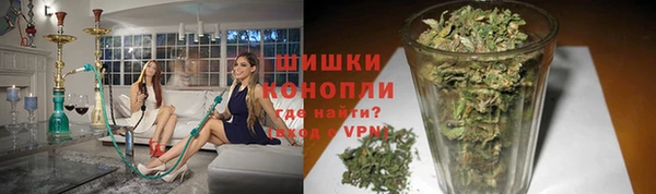 крисы Козельск