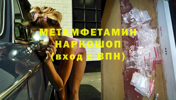 крисы Козельск