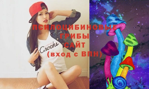 крисы Козельск