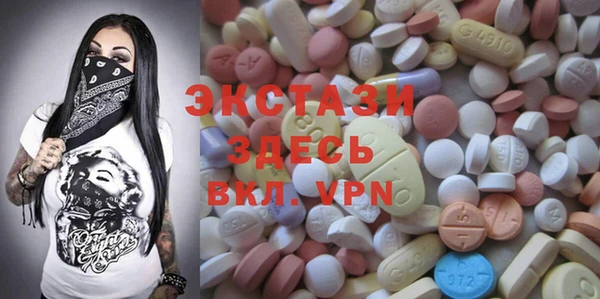 крисы Козельск