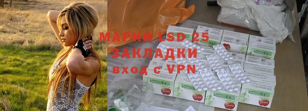 крисы Козельск