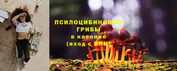 экстази Корсаков