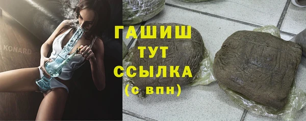 крисы Козельск