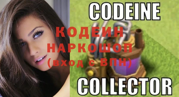 крисы Козельск